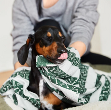 Load image into Gallery viewer, Dock & Bay Dog Towel