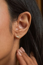 Load image into Gallery viewer, Estella Bartlett Bee Studs
