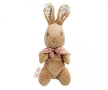 Load image into Gallery viewer, Beatrix Potter Small Soft Toy
