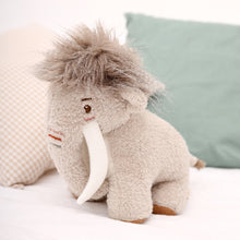 Load image into Gallery viewer, Albetta - Mammoth
