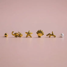 Load image into Gallery viewer, Orelia - Mixed Seaside Stud Pack
