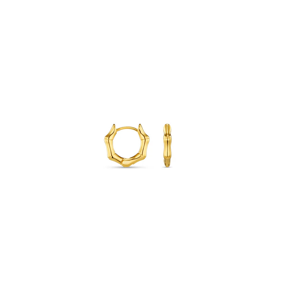 Orelia Luxe Polished Bamboo Huggie Hoop Gold