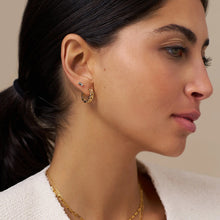 Load image into Gallery viewer, Orelia Chain Huggie Hoop Earrings Gold
