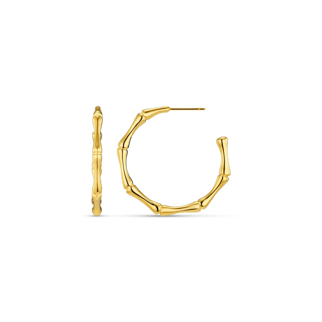 Orelia - LUXE Polished bamboo Large Hoop Earrings