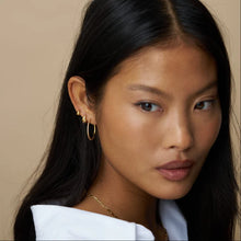 Load image into Gallery viewer, orelia Fine Pave Mid Size Hoop Earrings
