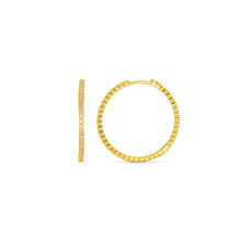 Load image into Gallery viewer, orelia Fine Pave Mid Size Hoop Earrings

