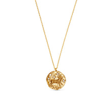 Load image into Gallery viewer, Orelia Zodiac Necklace
