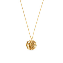 Load image into Gallery viewer, Orelia Zodiac Necklace
