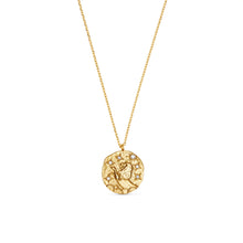 Load image into Gallery viewer, Orelia Zodiac Necklace
