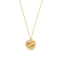 Load image into Gallery viewer, Orelia Zodiac Necklace
