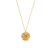 Load image into Gallery viewer, Orelia Zodiac Necklace
