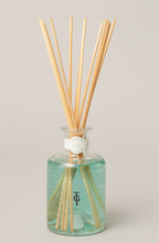 Load image into Gallery viewer, True Grace - Seashore Reed Diffuser
